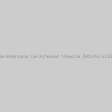 Image of Mouse Melanoma Cell Adhesion Molecule (MCAM) ELISA Kit